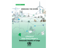 Bridging the Divide: A review of Urban-Rural Linkages in Democratic Republic of Congo