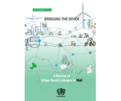 Bridging the Divide: A review of Urban-Rural Linkages in Mali