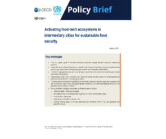 Activating food-tech ecosystems in intermediary cities for sustainable food security
