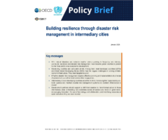 Building resilience through disaster risk management in intermediary cities